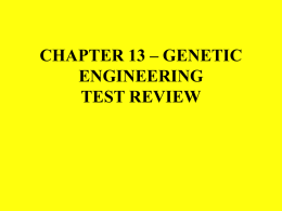 CHAPTER 13 * GENETIC ENGINEERING TEST REVIEW