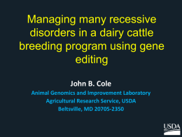 Managing many recessive disorders in a dairy cattle breeding