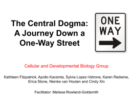 The Central Dogma: A Journey Down a One