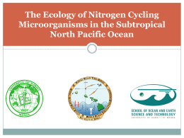 Dynamics of nitrogen cycling microorganisms in the open - C-MORE