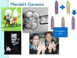 Mendels Geneticsx