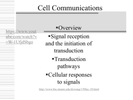 11-Cell Communications_1x