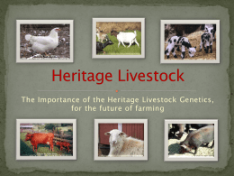 Heritage Livestock Breeds - ACORN Organic Conference