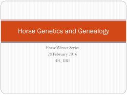 Horse Pedigrees and Coat Color Genetics