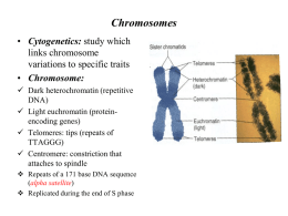 Chromosomes - TeacherWeb