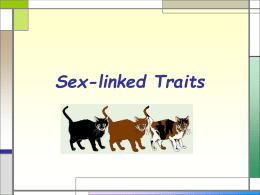Sex-Linked Traits and Pedigrees