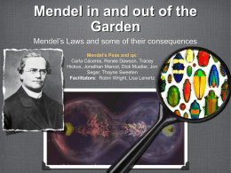 Mendel in and out of the Garden