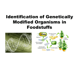 modified plant DNA_Extraction_Overview