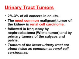 Urinary Tract Tumors