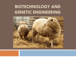 Biotechnology and Genetic Engineering What is Biotechnology?