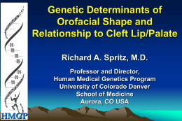 Genetic Determinants of Orofacial Shape and Relationship to Cleft