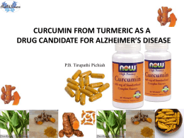 What is Curcumin