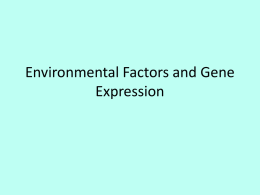 Environmental Factors and Gene Expression