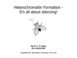 Heterochromatin Formation - Washington University in St. Louis