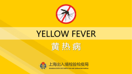 What is yellow fever？