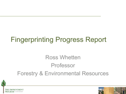 Ross - Tree Improvement Program