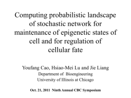 Computing probabilistic landscape of stochastic network for
