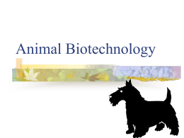 Animal Biotechnology - Lectures For UG-5