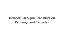 Introduction to Neurobiology Intracellular Signal Transduction