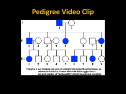 Pedigree Video Clip What is a pedigree?