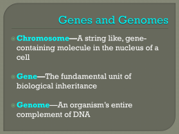 09-13 March 2015 class slides (Genetic Enhancement and Cloning)