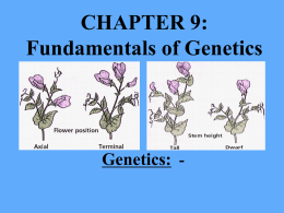 CHAPTER 9: Fundamentals of Genetics