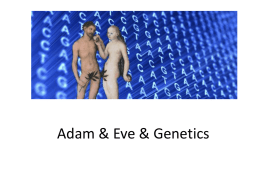Adam-geneticsx