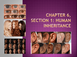 Chapter 6, Section 1: Human Inheritance