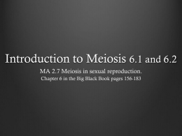 6.1-6.2 Meiosis Introx