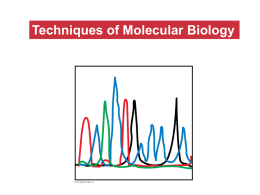 lecture-3-techniques-of-molecular-biologyx