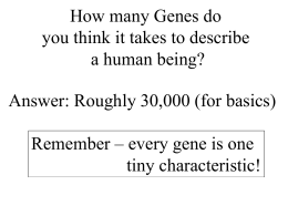 1070-Human Genome Project Presentation