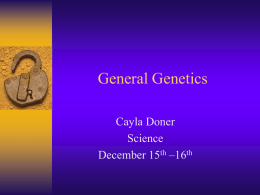 General Genetics - Thunder Data Systems
