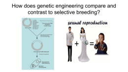 a) Hybridization/Crossbreeding