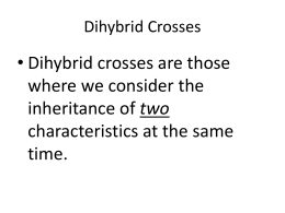 This is the phenotypic ratio expected in a dihybrid cross.