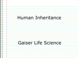 Human Inheritance - Gaiser Middle School