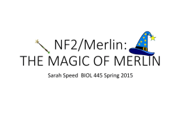 NF2/Merlin: THE MAGIC OF MERLIN