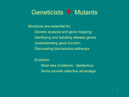 Genetics Lecture 4 Mutation, Repair, Transposons (1)x