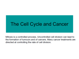 Cell cycle and cancer