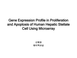 Gene Expression Profile in Proliferation and Apoptosis of