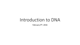 Introduction to DNA