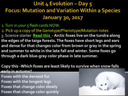 Unit 4 Evolution Days 5 and 6 2016-2017