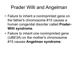 Prader-Willi syndrome - Christopher-Bio6