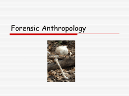 Forensics Anthropology