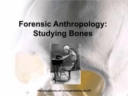 Forensic Anthropology - Los Alamos Public Schools