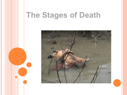 Stages of Death - Doral Academy Preparatory