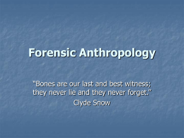 Forensic Anthropology - Bryn Mawr School Faculty Web Pages