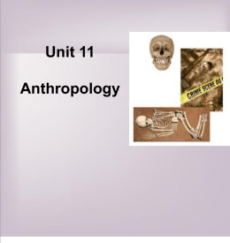 Unit 11 Anthropologyx
