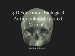3-D Education: Biological Anthropology Explored Virtually