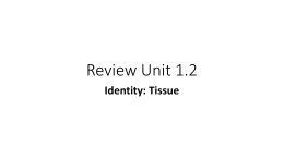 Review Unit 1.2 - cloudfront.net