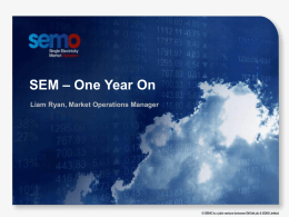 SEMO - SEM One year on